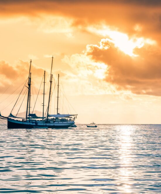 Recreational Cruises