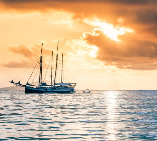 recreational-cruise